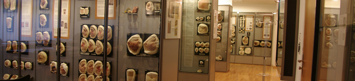 expo_image_museum